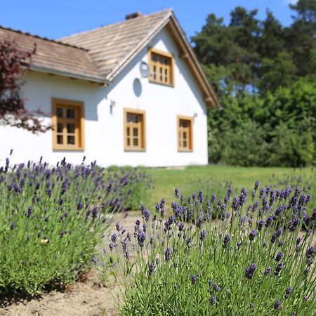 Ulanska Zagroda Bed and Breakfast Czlopa Eksteriør billede