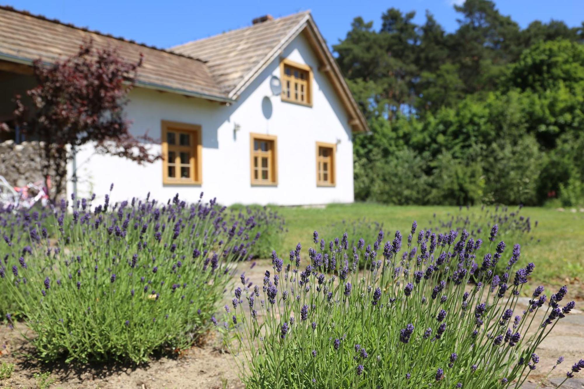 Ulanska Zagroda Bed and Breakfast Czlopa Eksteriør billede